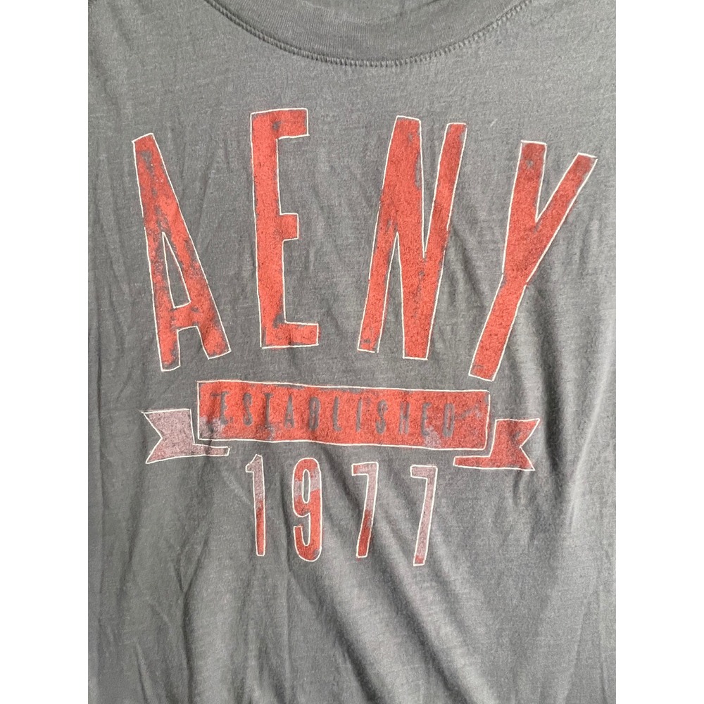 American Eagle AENY 1977 Graphic Top Grey Long Sleeve Scoop Neck Medium - Picture 2 of 10